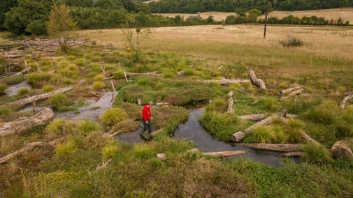 A brown haired man in a bright red jacket standing on mossy ground in a river flood plain surrounded by intermittently placed wood logs, which help raise the water levels.